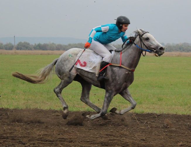 У Біловодській ОТГ відбувся фестиваль «Золота підкова»